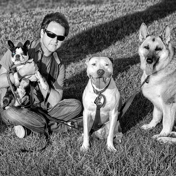 dylans pet sitting services san pedro